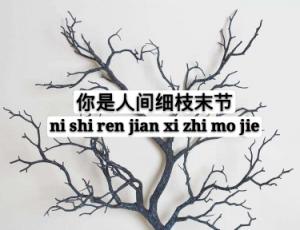 ĲɫжȫĶ