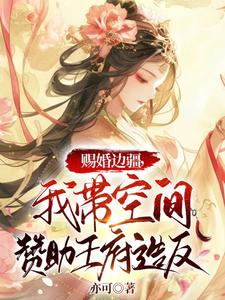 赐婚边疆,我带空间赞助王府造反全文免费阅读