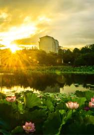 神医丑妃太凶猛,禁欲残王逆天宠全文免费阅读