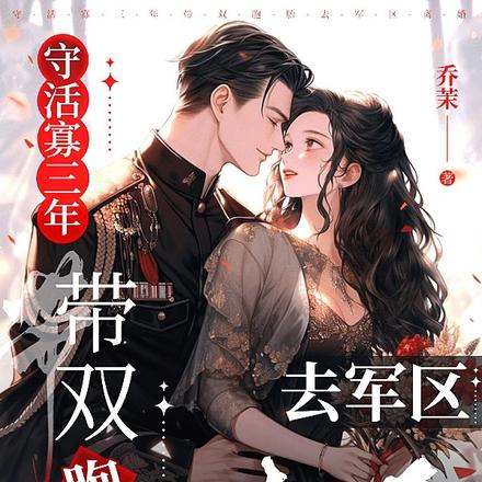 守活寡三年,带双胞胎去军区离婚全文免费阅读